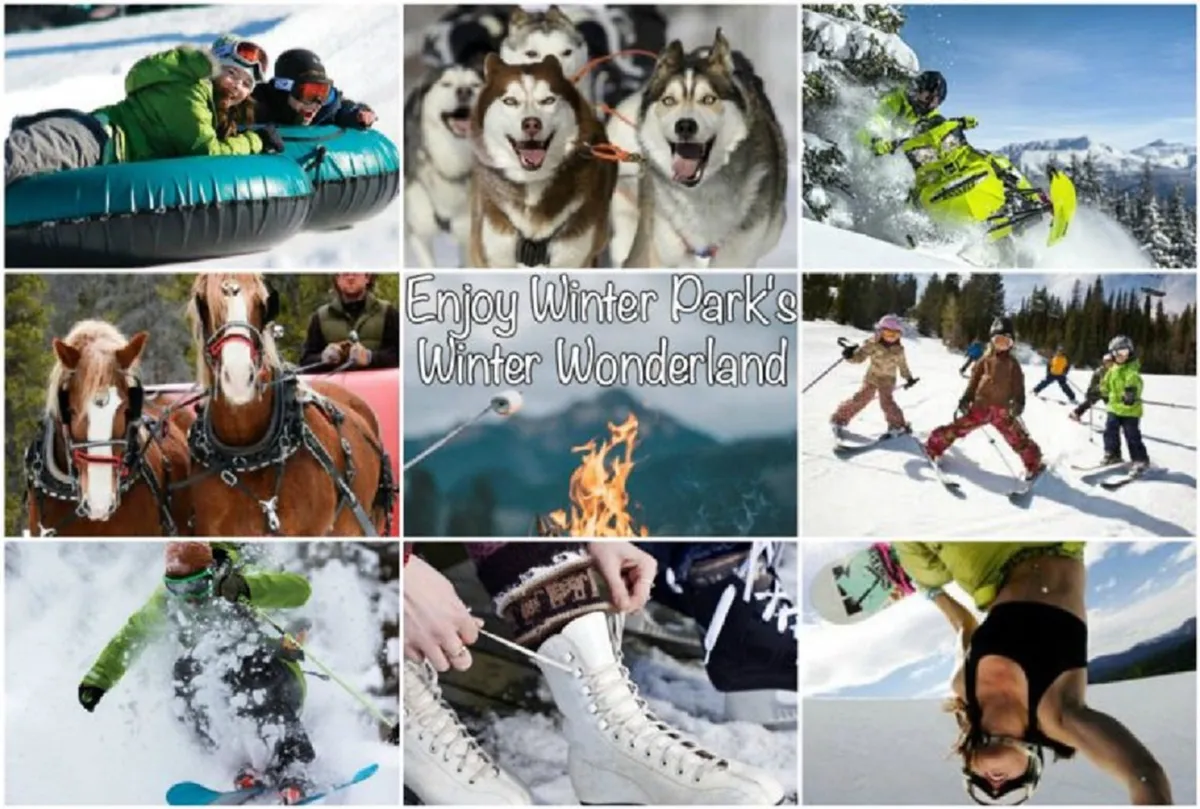 A dynamic view featuring people snow tubing, huskies for dog sledding, snowmobiles, a horse-drawn sleigh, a campfire, and various winter sports like skiing and snowboarding. The scene is exciting and festive, capturing a wide range of outdoor adventures and shared group moments.